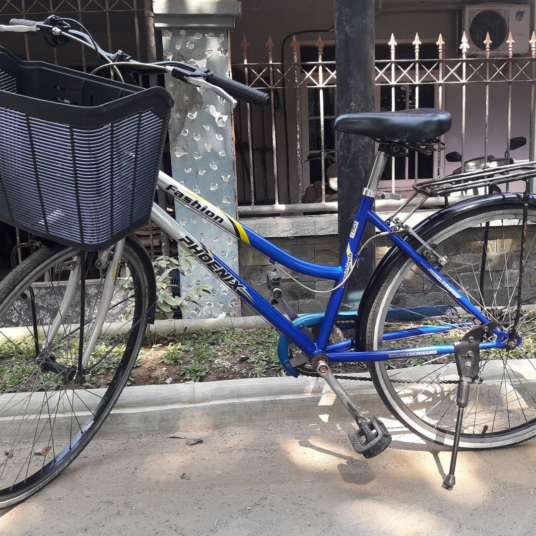  Harga Sepeda Phoenix Fashion Sepeda Phoenix Pro Racing Olah Raga 