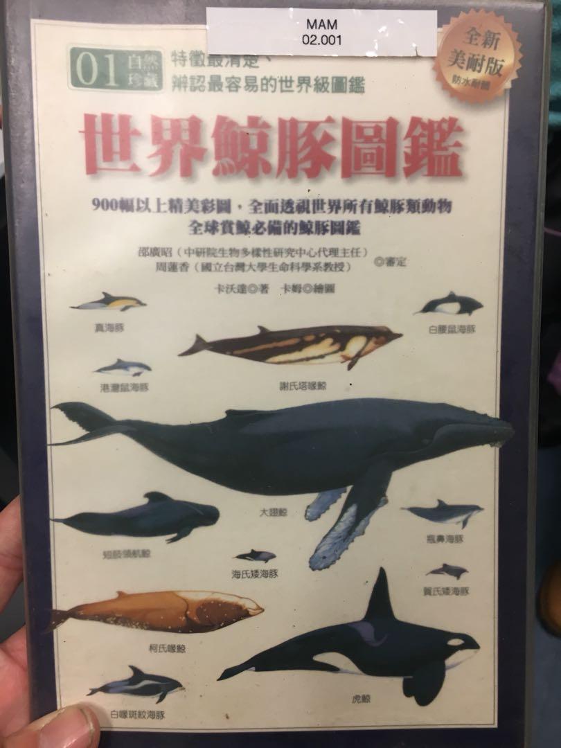 誠徴世界鯨豚圖鑑, 興趣及遊戲, 玩具& 遊戲類- Carousell