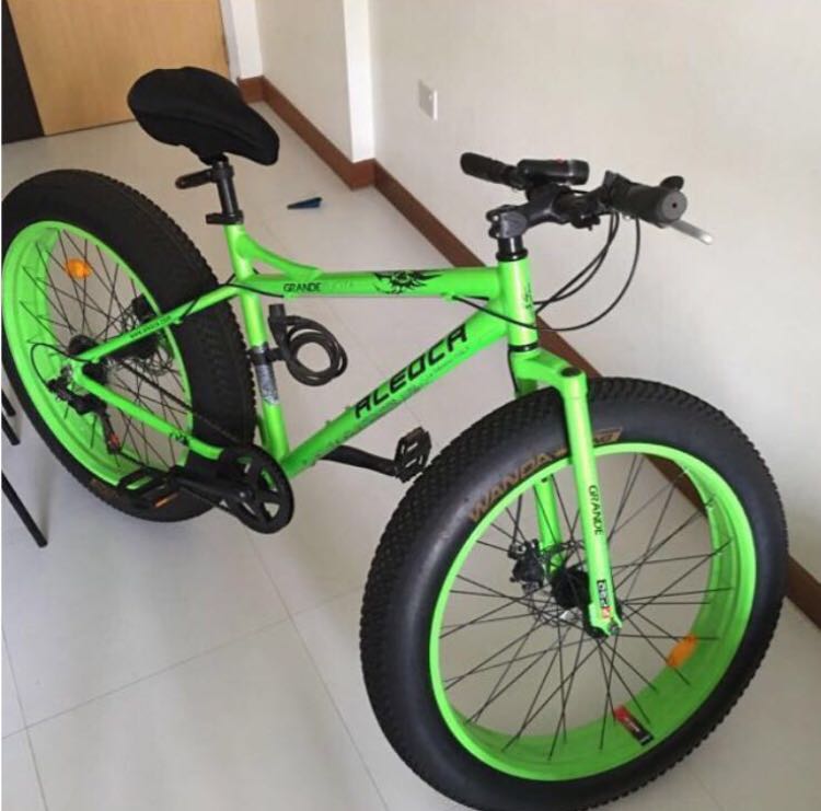 Aleoca fat discount bike price