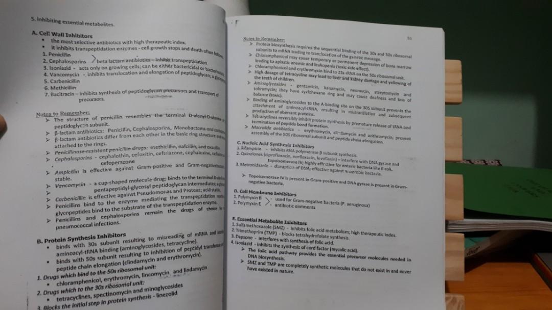 Bacteriology Lecture Handbook by Rodriguez, Hobbies & Toys, Books