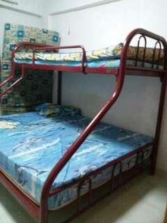 Double Decker Bed Frame