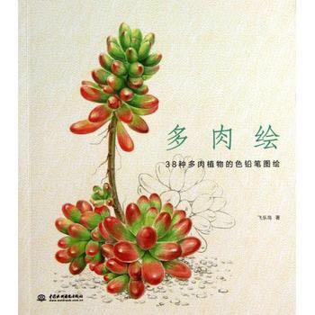 38 Succulent Drawing Coloured Pencil Tutorial Hand Paint