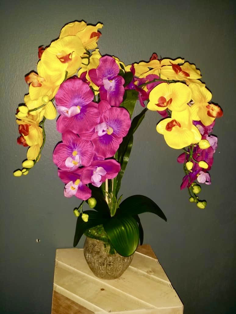 13 Lukisan Bunga  Orkid  Gambar Kitan