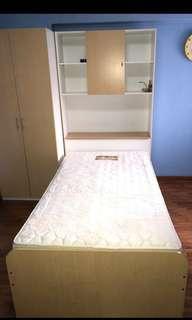 Bed with storage and shelves