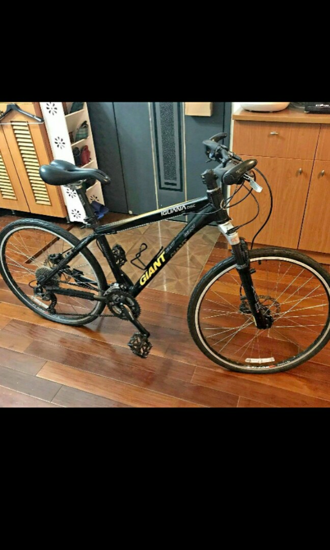 giant iguana bike for sale