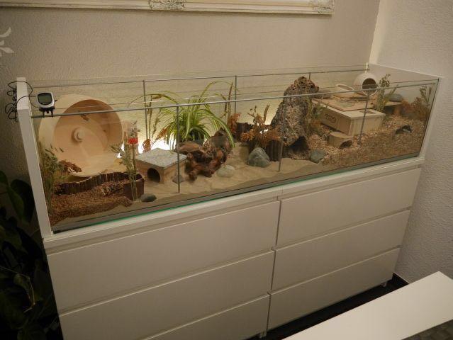 IKEA Detolf Hamster Cage, Pet Supplies, For Small Animals, Pet ...