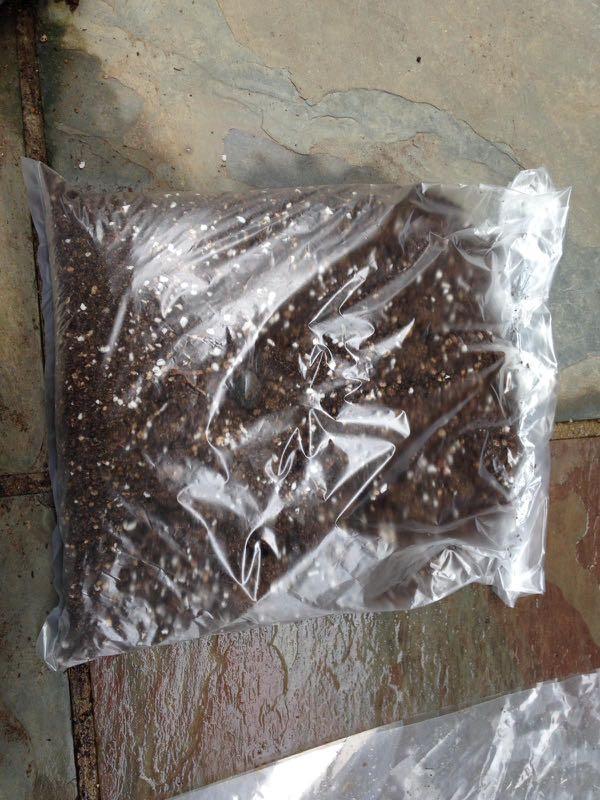 Perlite peat moss good potting mixed soils, Furniture & Home Living
