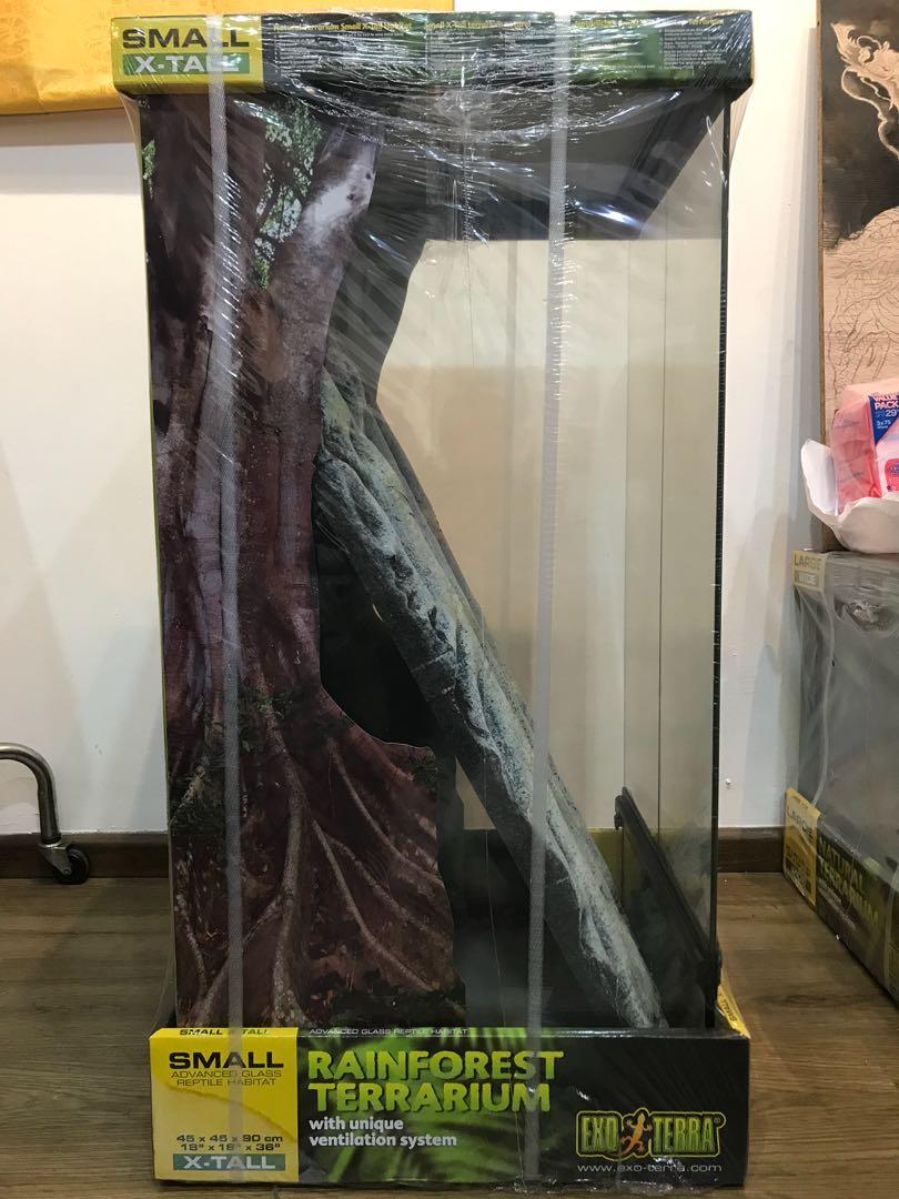 Exo Terra Rainforest Terrarium Small (xtall) 45cm x 45cm x 90cm, Pet Supplies, For Small