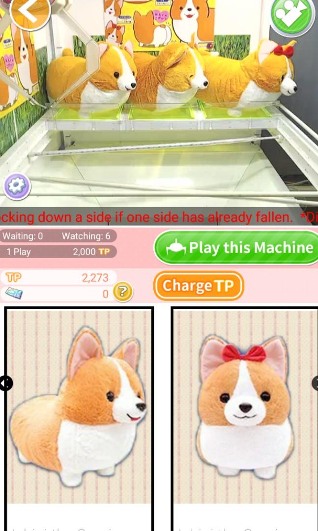 Ichini the Corgi from Toreba Hobbies Toys Toys Games on Carousell