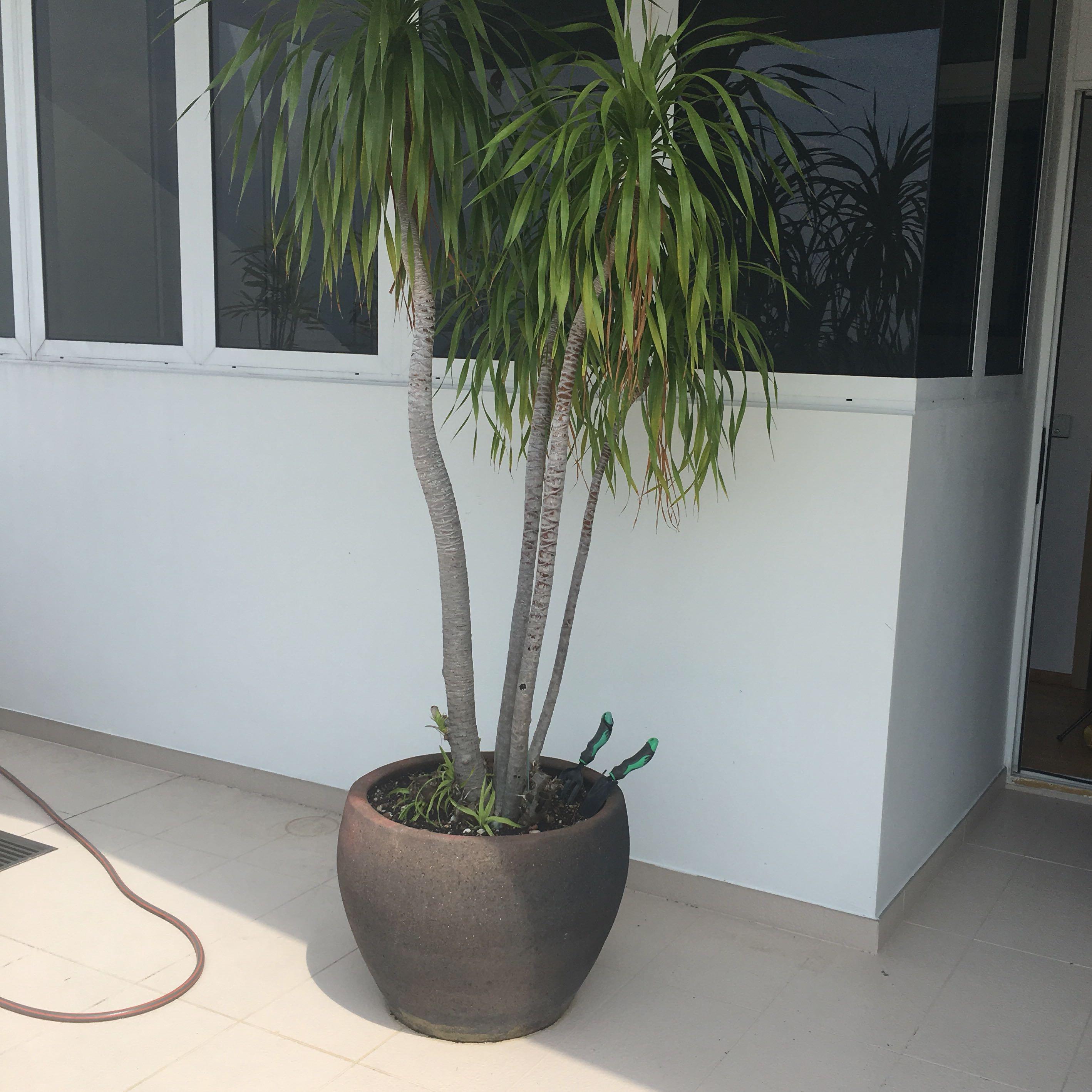 Small Medium Large Size Planters Pots Plants Furniture Home Living Gardening Pots Planters On Carousell