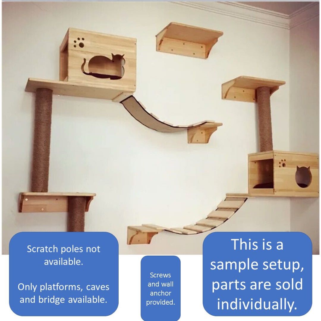 Cat wall condo online
