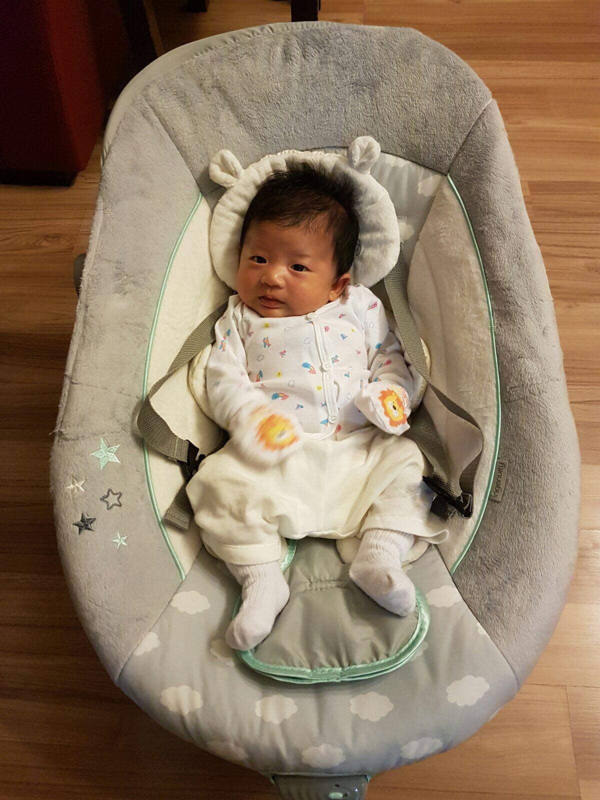 ingenuity twinkle teddy bear swing