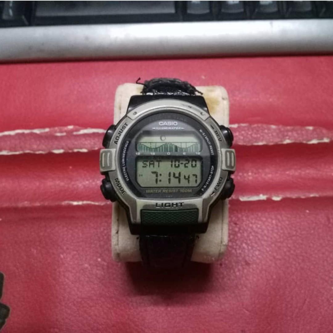 casio fish in time watch