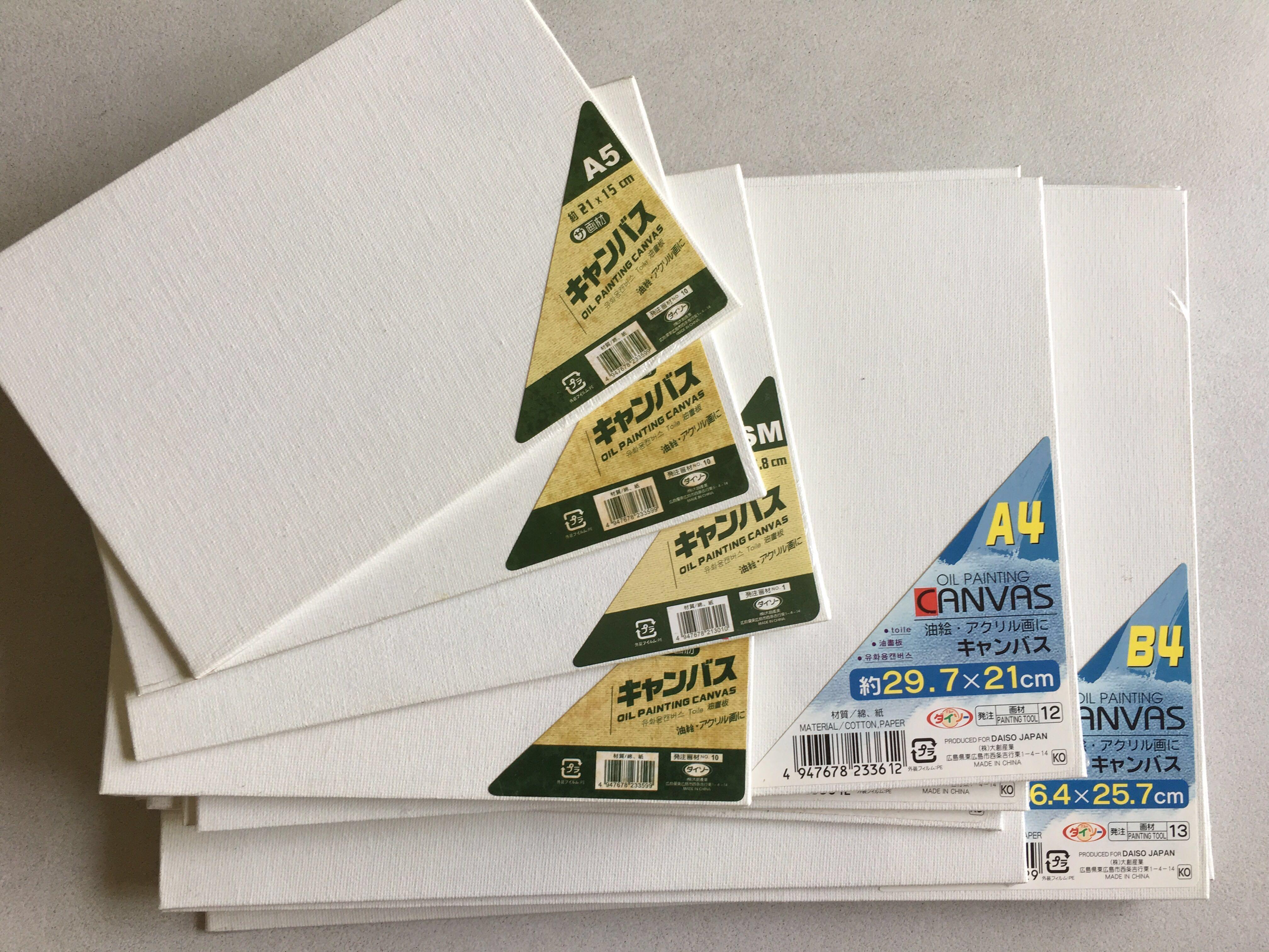 15x Oil Painting Blank Canvas Design Craft Craft Supplies