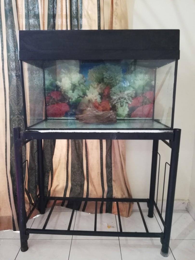 Aquarium Akuarium 2 5 Kaki Pet Supplies Pet Accessories On Carousell