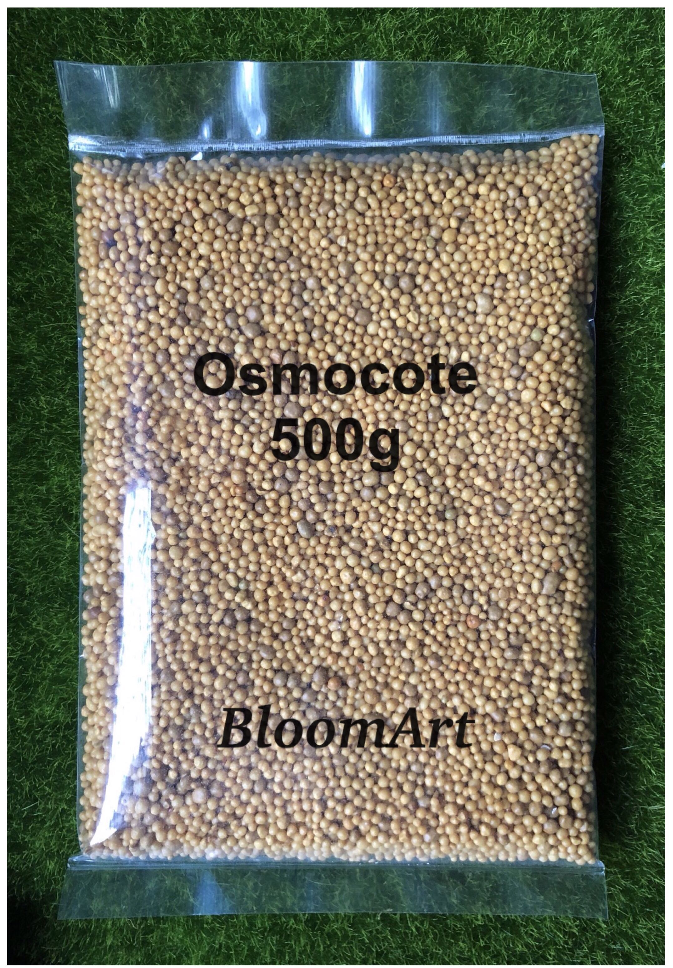 Osmocote Fertilizer for Succulents / Cactus / Haworthia, Furniture