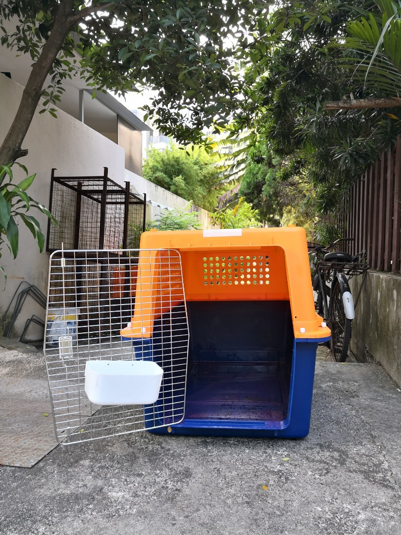 Airline Approved Pet/Dog Transport Carrier XL , Pet Supplies, Homes