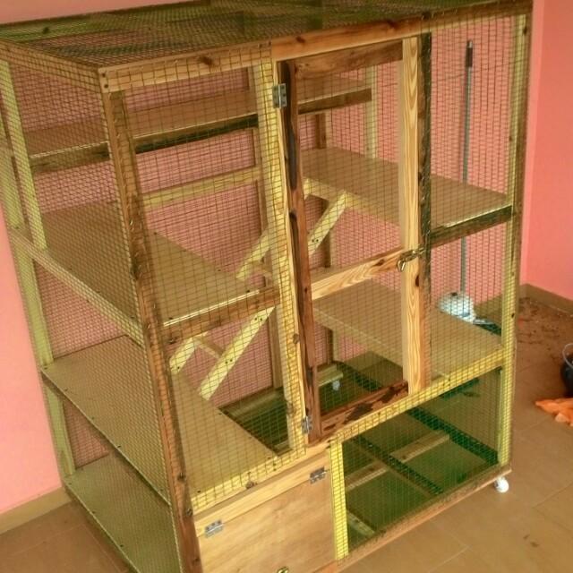 Design Sangkar Kucing Kayu