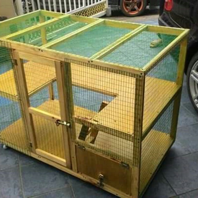 Sangkar kucing kayu pine, Pet Supplies, Pet Accessories on Carousell