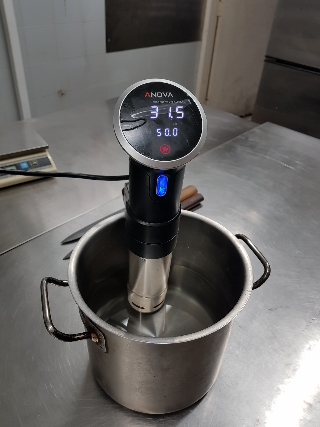 Anova sous vide machine, TV & Home Appliances, Kitchen Appliances