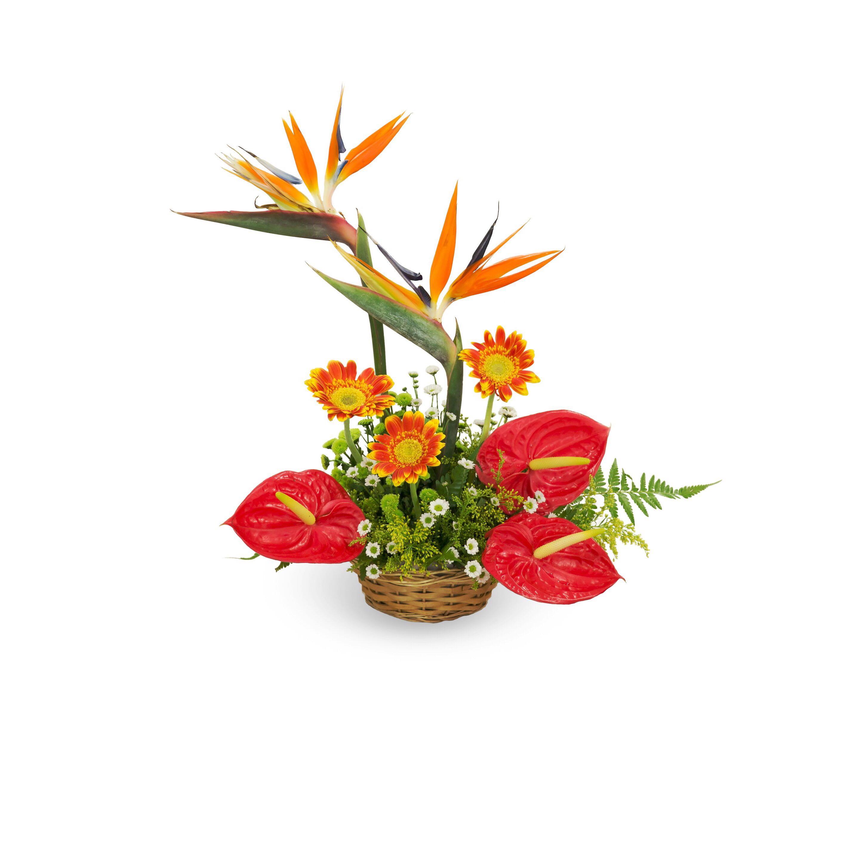 Birds Of Paradise Anthurium Table Flower Centrepiece Floral Arrangement Home Decor Office Decor Gardening Flowers Bouquets On Carousell