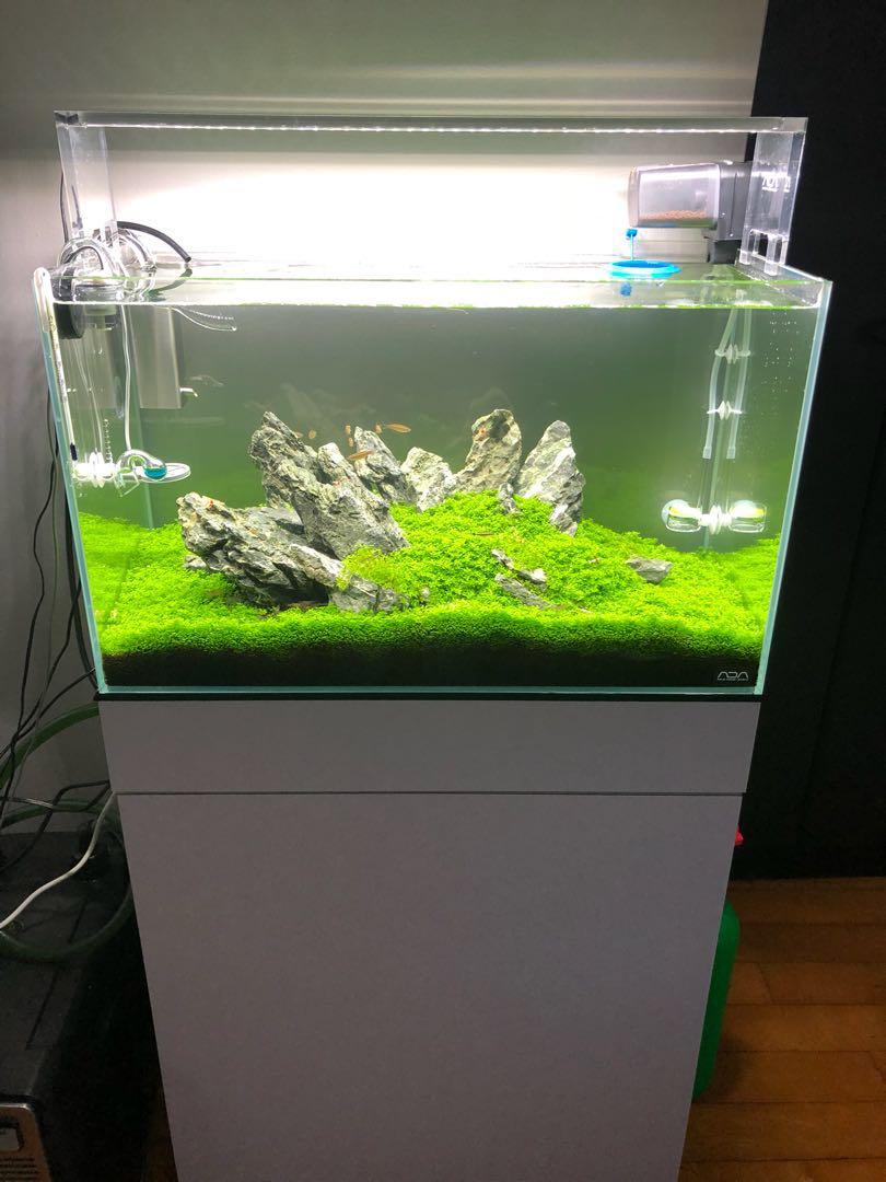 8100 Contoh Hardscape Aquarium HD Terbaik