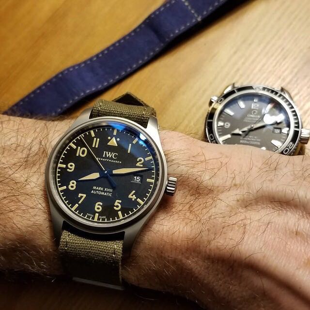 Iwc mark xviii deals titanium review
