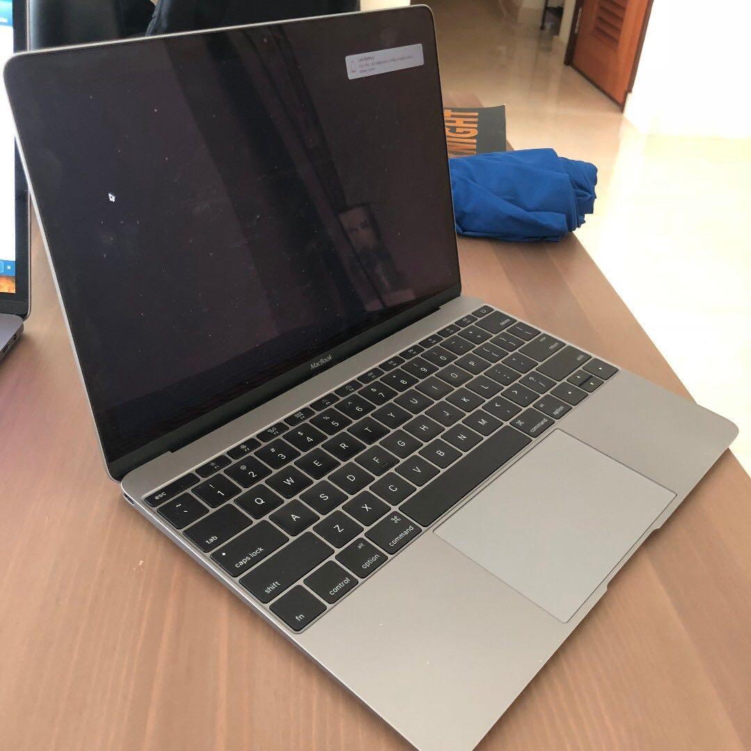 appleMacBook Retina 12inch Early 2015 (258GB)