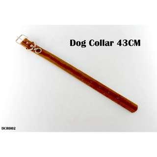 Dog Collar 43cm #DCR002