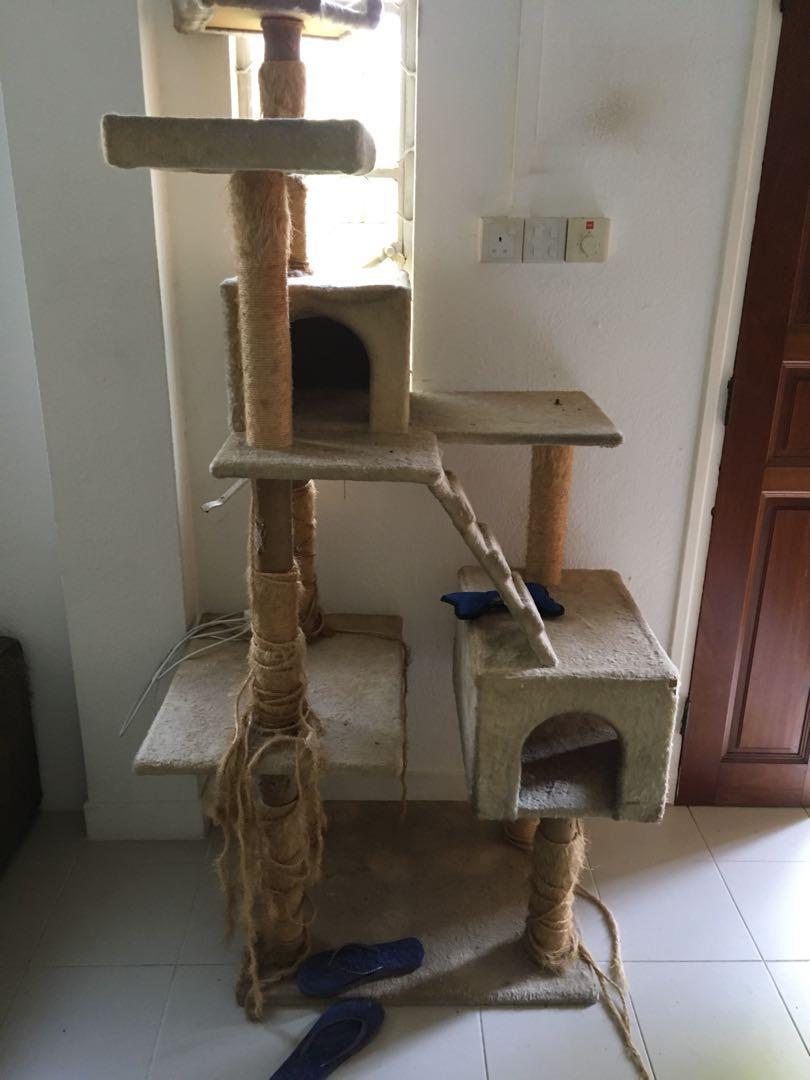10 foot cat tree