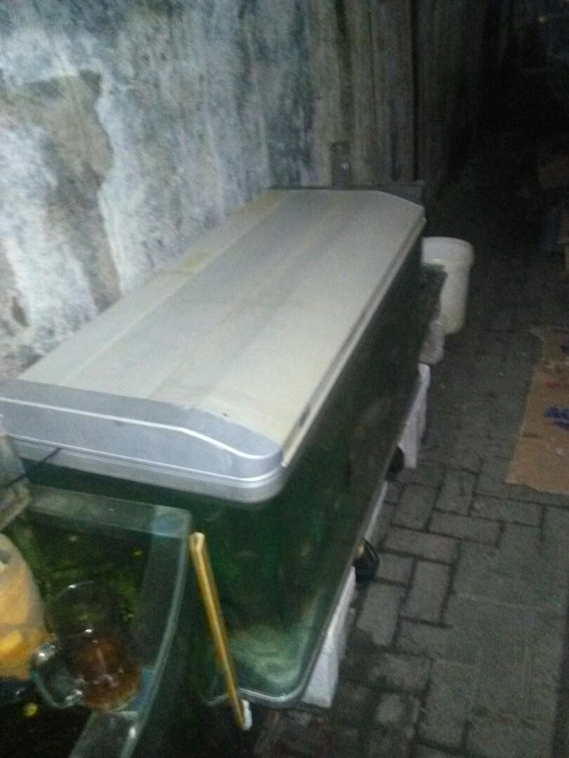 Aquarium 11x11x11+lemari, Pet Supplies, Accessories on Carousell Aquarium 11x11x11+lemari, Pet Supplies, Accessories on Carousell