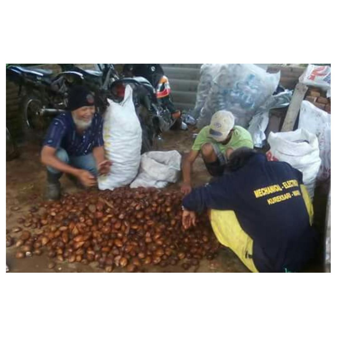 Di Jual kebun di Wonosalammojokerto suangat bagus, Properti, Dijual di