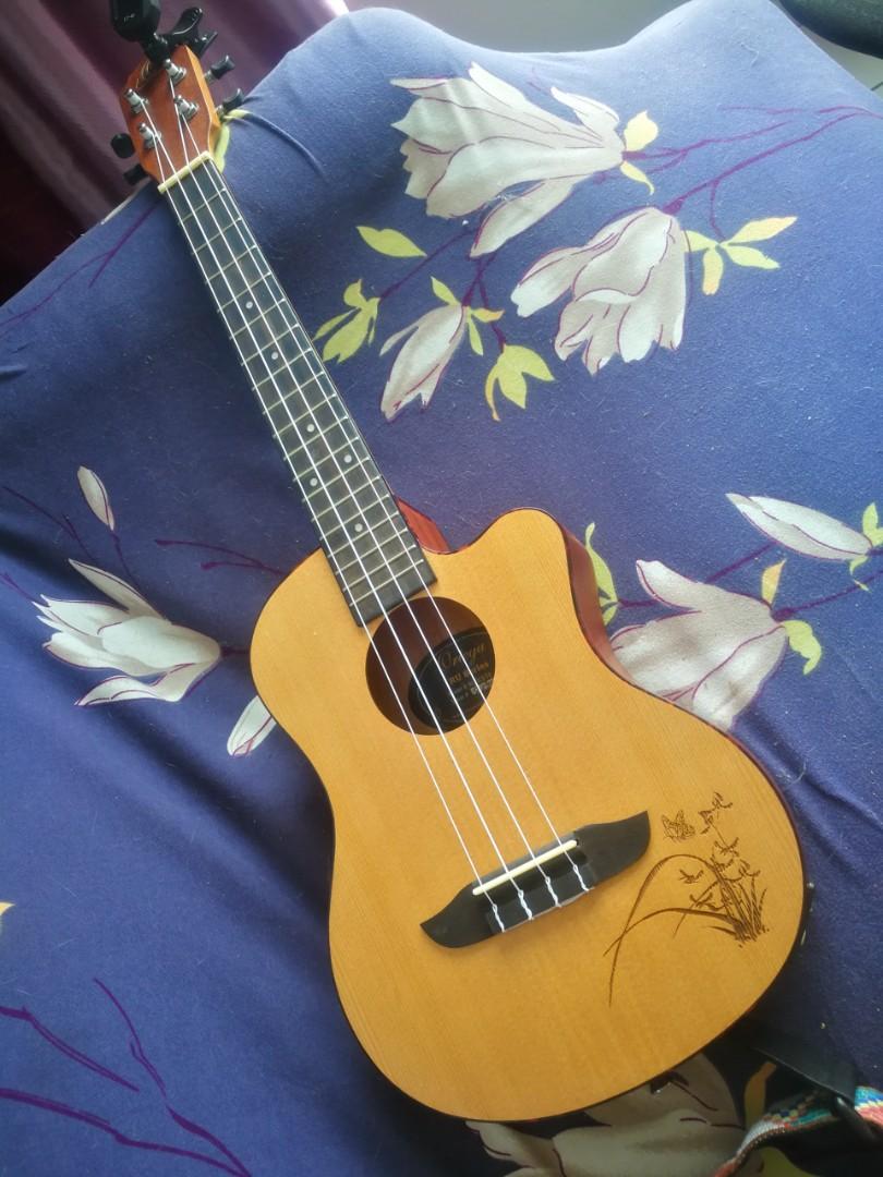 Electric Ukulele, Hobbies & Toys, Music & Media, Musical Instruments on