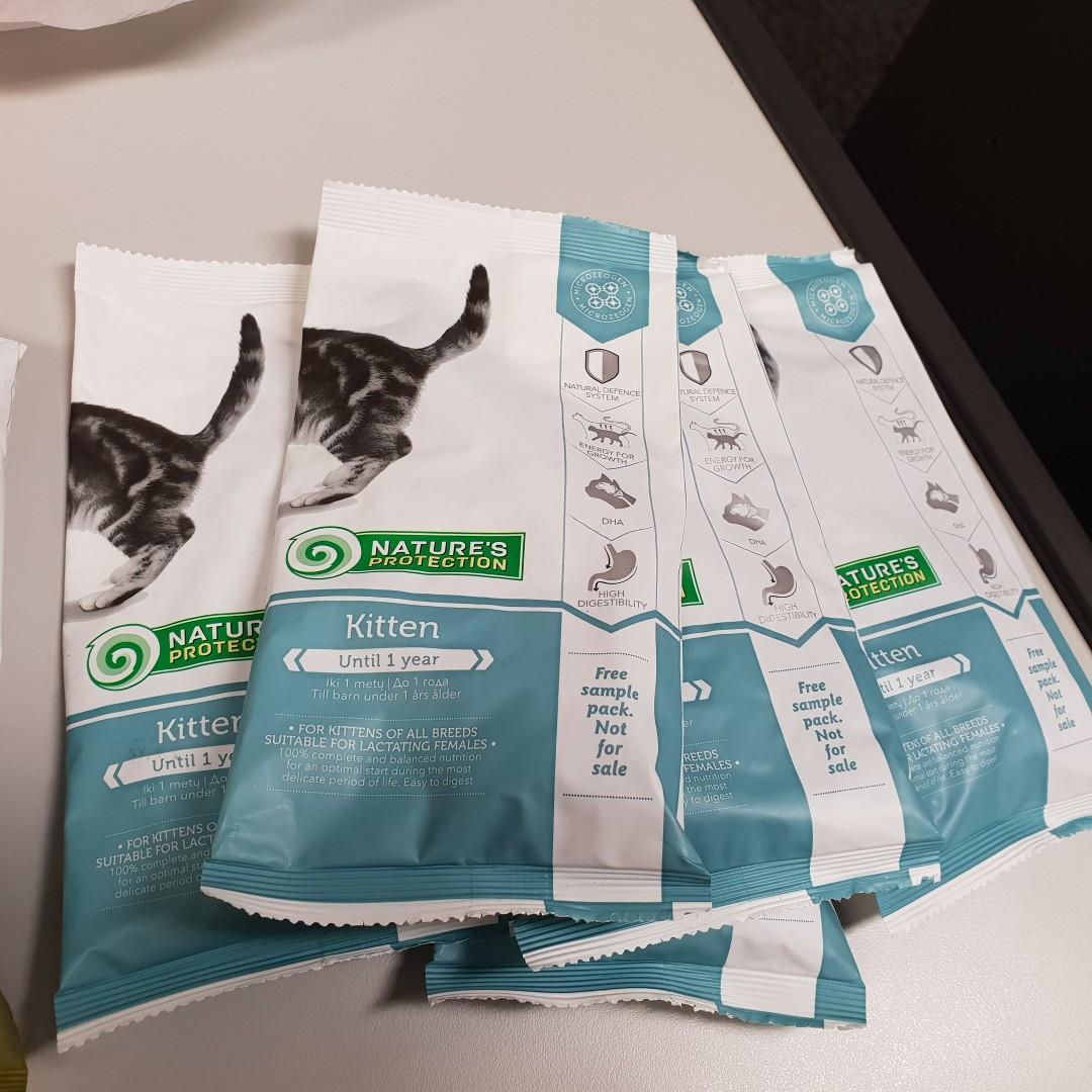 KITTEN Food, Pet Supplies, Pet Food on Carousell