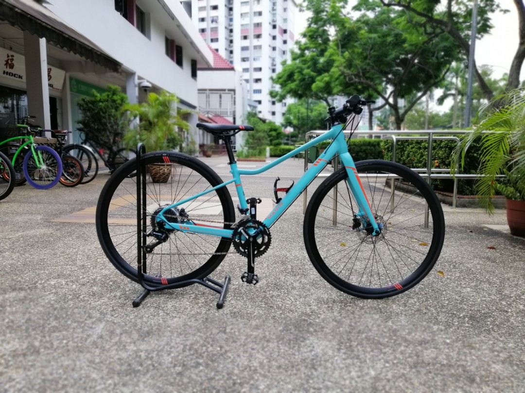 Marin terra shop linda sc4