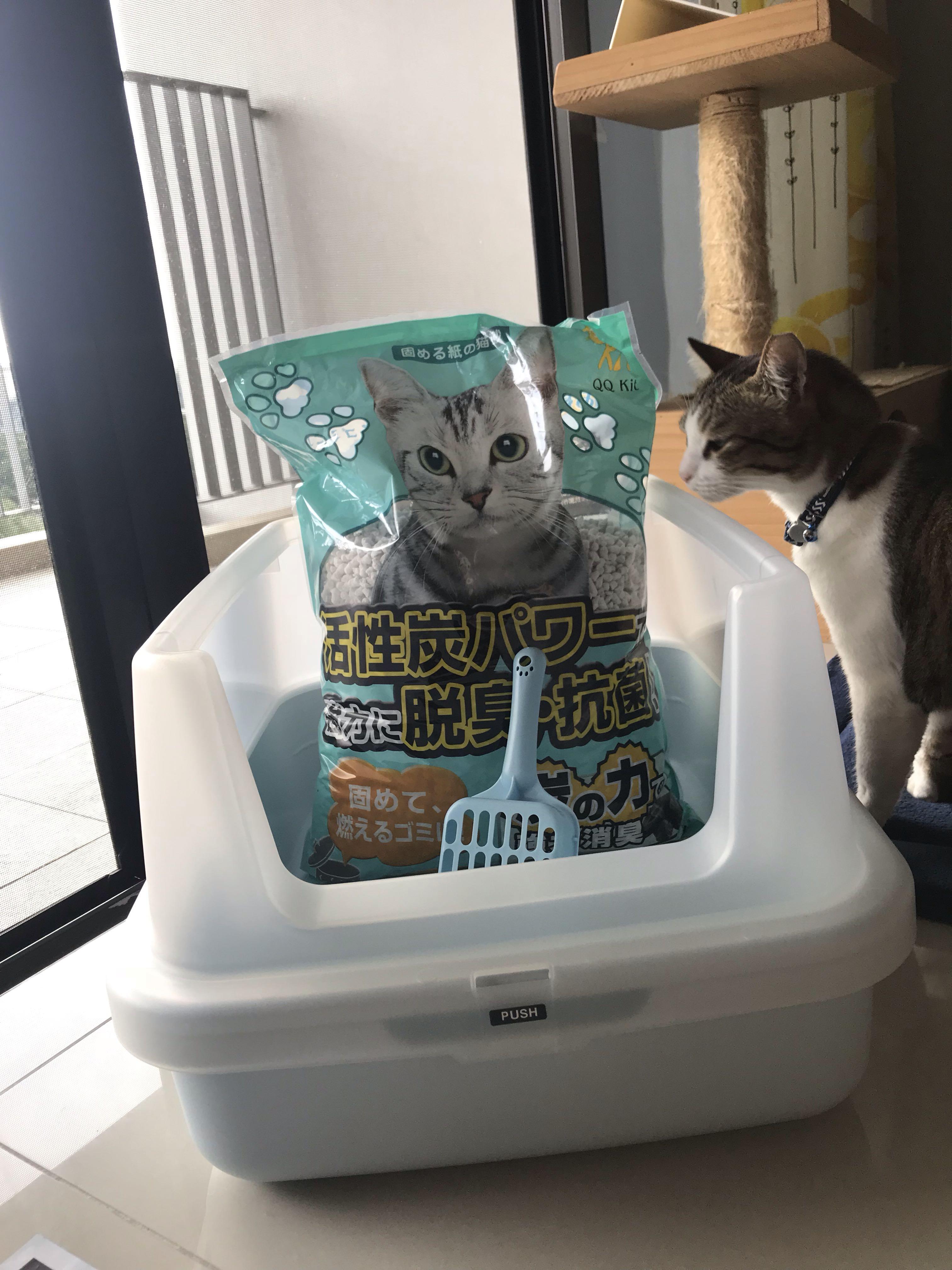 The 11 Best Cat Litters Of 2023, Tested And Reviewed