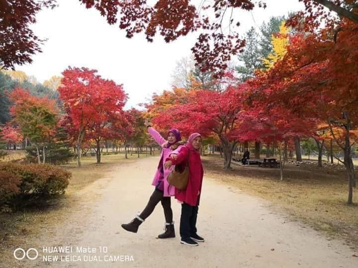 Pakej 5h4m Ke Seoul Korea Autumn Musim Luruh On Carousell