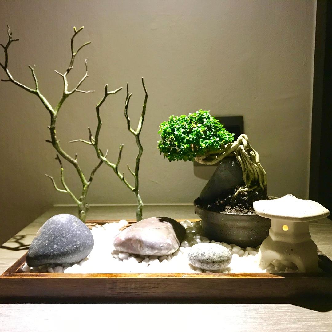 Bonsai Garden Up - Part 2 A Walk Through The Pacific Rim Bonsai Garden On Behance : Bonsai trees pruning and maintenance.