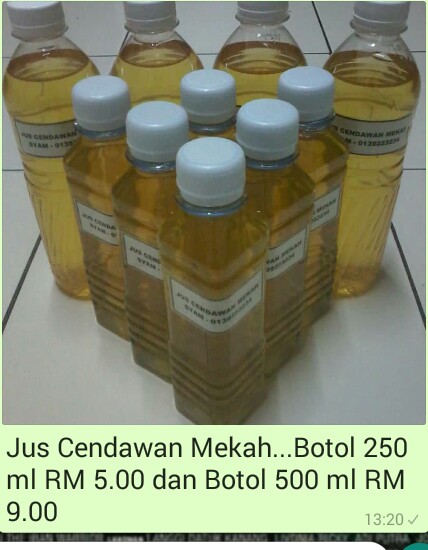 Cendawan Mekah Mati