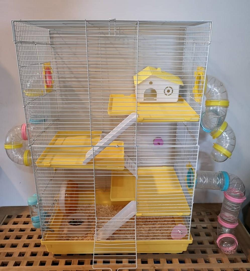 Hamsters and Hamster Cage for Sale