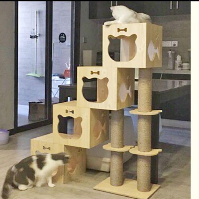 cat tree for 3 cats