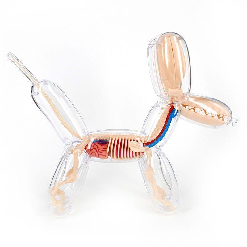 jason freeny balloon dog anatomy