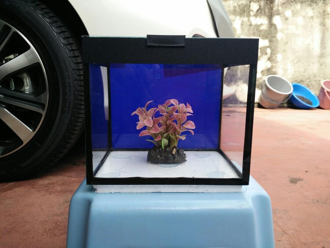 5600 Koleksi Design Aquarium Kecil HD