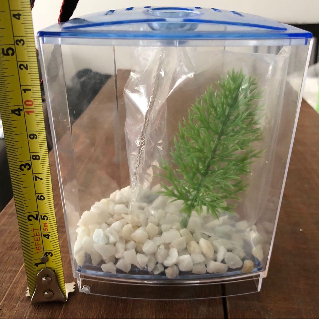 Small Hexagon Betta Tank Pet Supplies For Fish Fish Tanks On