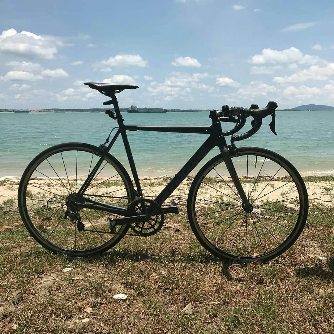 caad12 ultegra 2017