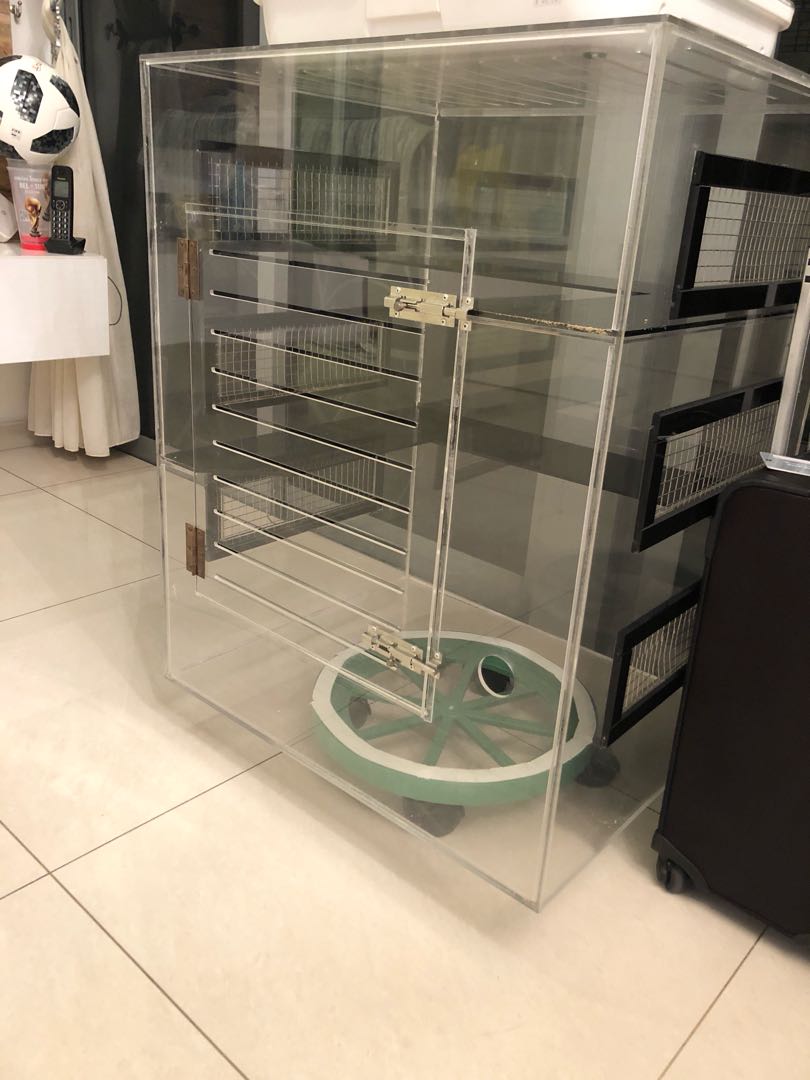 glass chinchilla cage