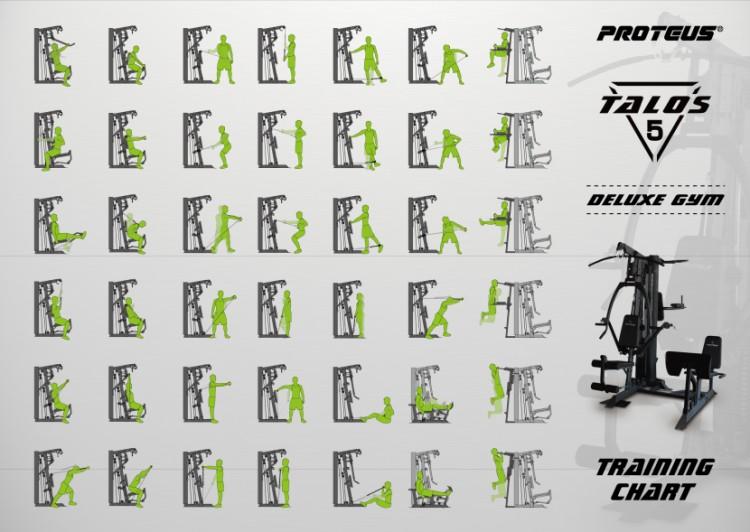 Proteus home gym workout cheap