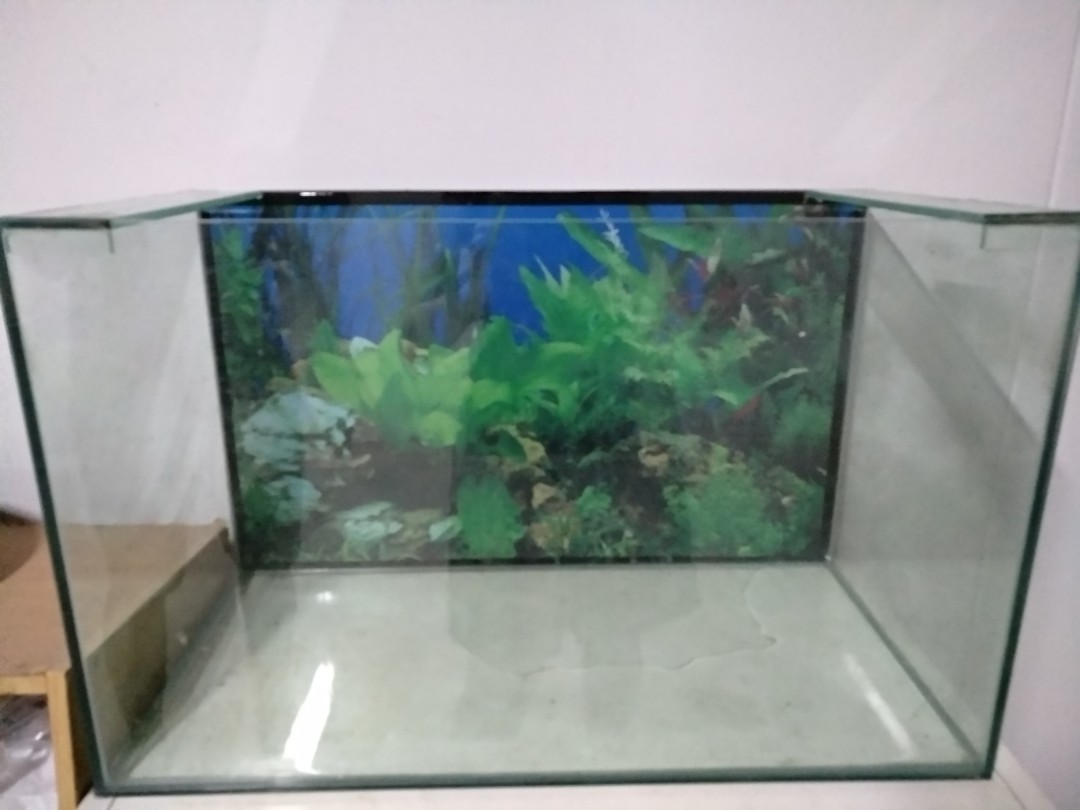 2 feet glass aquarium