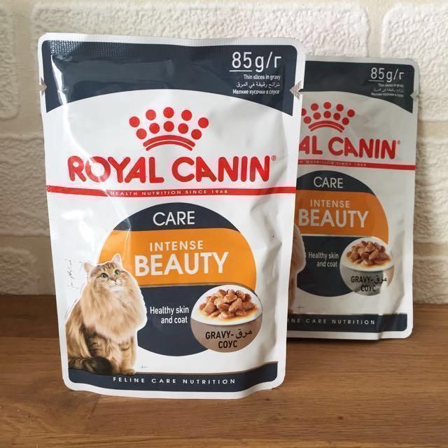 Royal Canin Intense Beauty Wet Cat Food Pouches Pet Supplies For Cats Cat Food On Carousell