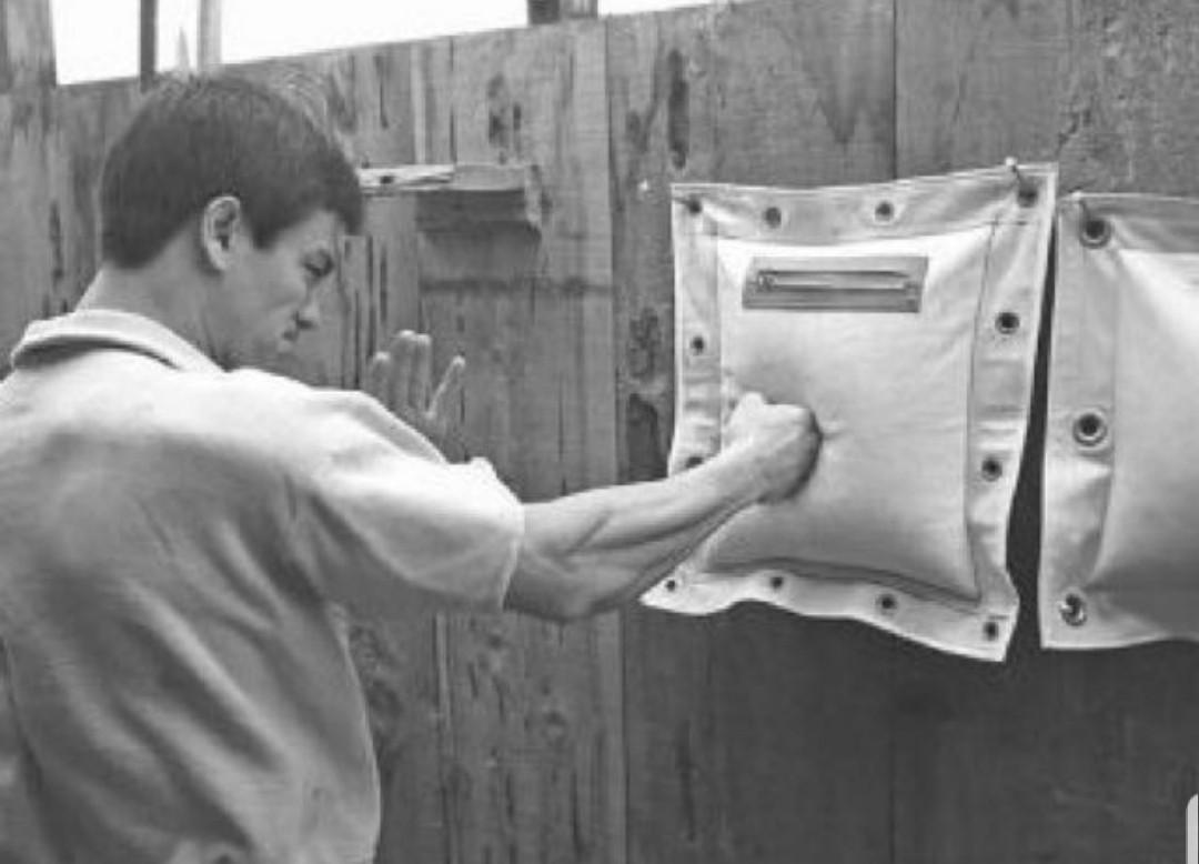bruce lee gym bag